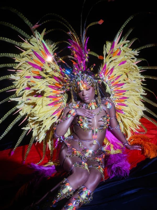A performer in a cream and gold feathered costume with large wings on a dark set